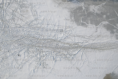 Zima na Mierzei Wiślanej. Widok na zamarznięty Zalew...