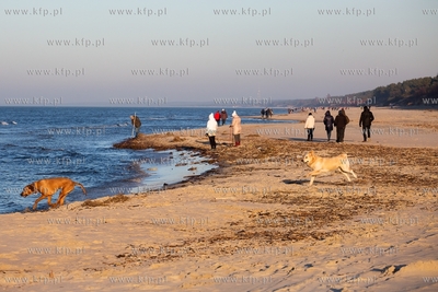 Plaża w Krynicy Morskiej. 16.02.2019 / Fot. Anna Rezulak...