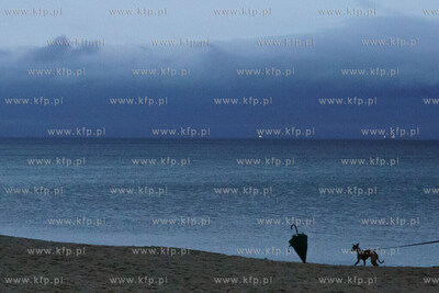 Plaża w Sopocie. Nz. Pozostawiona parasolka. 2.01.2022...