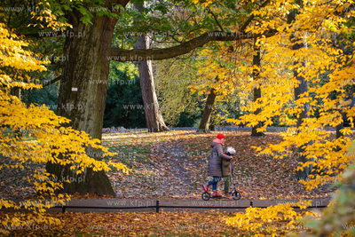 Gdańsk.  Jesień w Parku Oliwskim.  20.10.2022 /Fot....