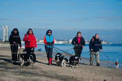 Gdynia. Polanka Redlowska. Pomorski Puchar Dogtrekkingu.
08.02.2014
fot....