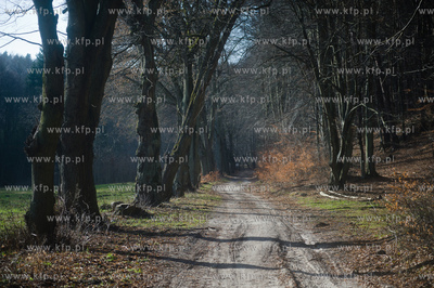 Gdansk. Oliwa, Trojmiejski Park Krajobrazowy. Sciezka...