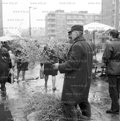 Hala Targowa w Gdyni
13.04.1971
z0000235_kwiecien1971
Fot....