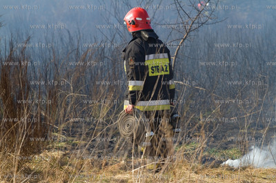 Gdansk. Groznego pozaru na terenie bylego poligonu...