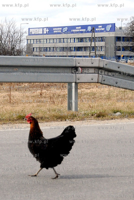 Gdansk. Elementy instalacji rafinerii Grupy Lotos S.A.
29.03.2011
fot....