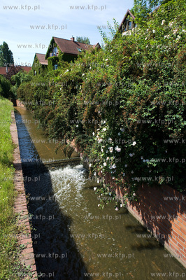 Gdansk Wrzeszcz, Park nad Strzyza.
03.07.2009
fot....
