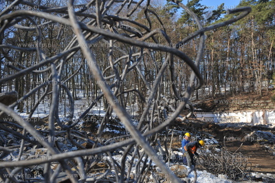 Remont i przebudowa Opery Lesnej w Sopocie. Rozebrano...