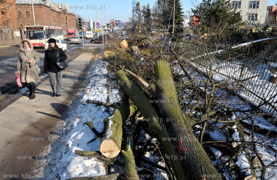 Wycinka drzew pod budowe nowej Trasy Slowackiego. Tereny...