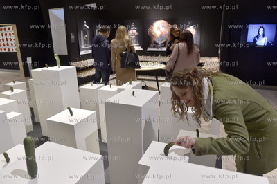 Muzeum Sztuki Nowoczesnej Traphol w Kolding, Dania....