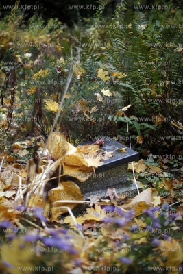 Sopot. Cmentarz Zolnierzy Radzieckich.
24.10.2012
fot....