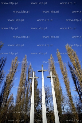 Wojskowy cmentarz francuski w Gdansku.
31.10.2013
fot....