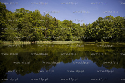 Sopot. Staw Nowowiejskiego, czyli tzw. Morskie Oko.
22.05.2017
fot....