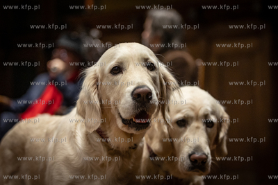 Ratuszu Staromiejskim w Gdańsku. 65. urodziny Pawła...