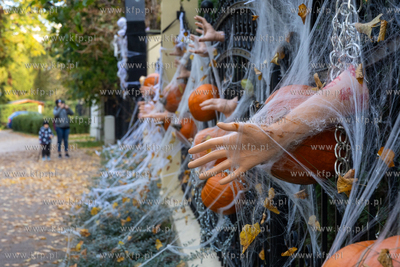 Gdańsk Wrzeszcz, ul. Jaśkowa Dolina. Nz. Halloweenowe...