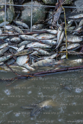 Gdansk. Pracowinicy Gdanskich melioracji oproznili...