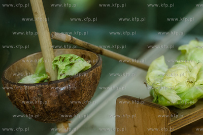 Uniwersytet Gdanski. Wydzial Biologii. Formikarium...