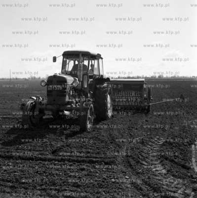 Siewy na zulawskich polach PGR Rakowe Pole.
15.04.1971
z0000246_kwiecien1971
Fot....