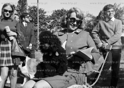 Wystawa psów rasowych na terenie Wyścigów Konnych...