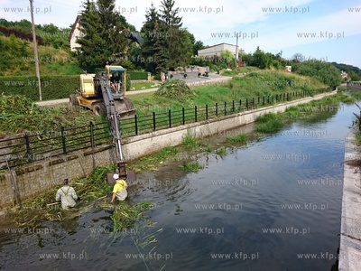 Prace melioracyjne na Kanale Raduni na wysokosci Sw....