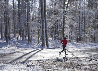 Aktywny przedpołudnie w Trójmiejskim Parku Krajobrazowym....