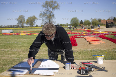 Mokry Dwór koło Pruszcza Gd.  Przygotowania do Żuławskiego...