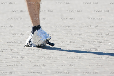 Kampus Politechniki Gdanskiej. Pierwsza edycja Biegu...