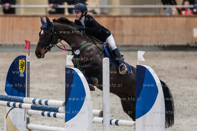 Hipodrom Sopot. Hala Pomarańczowa. Halowe Zawody w...