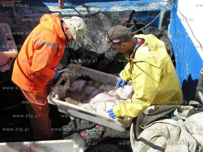 Port w Rowach. Nz rybacy sprzedaja ryby wprost z kutra.
02.05.2009
Fot....