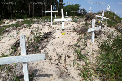 Swinoujscie. Ponad sto krzyz stanelo w nocy przy budowie...