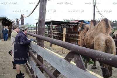 11.11.2013 o godz. 11:11 otwarto ZOO FARME W Debogorzu,...