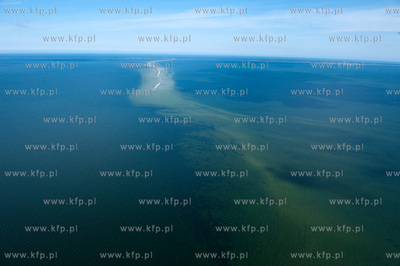 Marsz Sledzia odbywa sie Rybitwia Mielizna (Rewa Mew)...