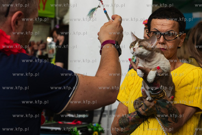 Międzynarodowa wystawa kotów rasowych "Koty na Hawajach"...