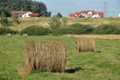 Wies Sulmin na Kaszubach w gminie Zukowo.Bele siana...