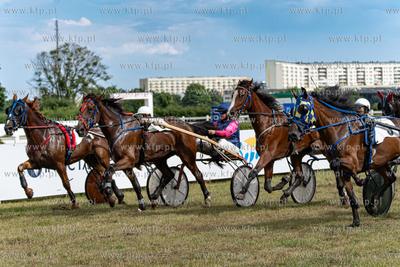 Wyścigi konne i Dzień Kaszubski na Hipodromie w Sopocie....