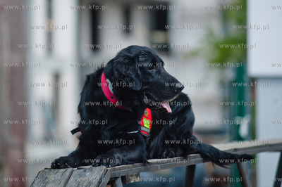 Gdansk Oliwa. Jednostka Strazy Pozarnej przy ul. Beniowskiego....