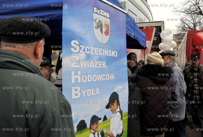 Szczecin. Hodowcy bydla przed jednym ze szczecinskich...