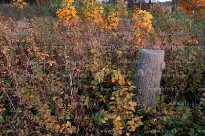 Opuszczony poniemiecki cmentarz w miejscowosci Osowo...