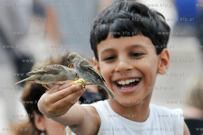 Dzieci karmia magdalenkami z reki ptaki na Placu Jana...