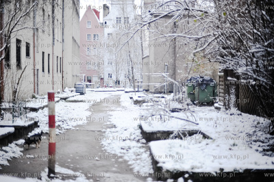Pierwszy powazny snieg na ulicach Gdanska. Nz. Podworko...