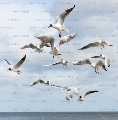 Gdynia - Bulwar Nadmorski im. Feliksa Nowowiejskiego....