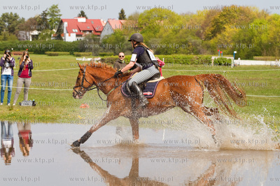 Drugi dzien Wszechstronnego Konkursu Konia Wierzchowego...