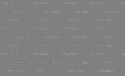 Nz fosa przy Twierdzy Wisloujscie, oraz przeprawa promowa...