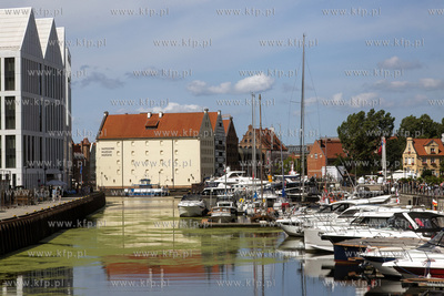 Marina Gdańsk przy ulicy Szafarnia w Gdańsku. 
31.08.2024
fot....