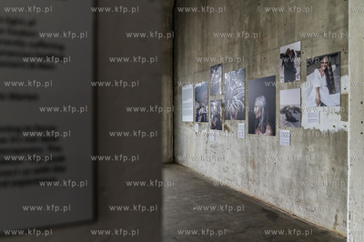 Gdańsk Stocznia. Plenum. Wystawy 4 autorów: Damian...