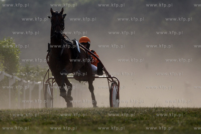 Wyscigi konne na sopockim hipodromie.
10.07.2011
fot.Krzysztof...