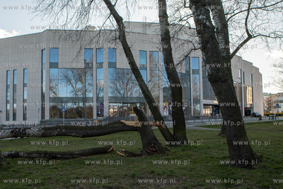 Gdynia. Złamane drzewo w Parku Rady Europy. 14.03.2020...