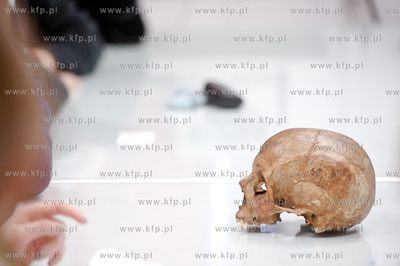 Uniwersytet Gdanski. Wydzial Biologii. Dzien Mozgu...