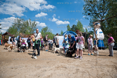 Gdynia Kolibki. Adventure Park. Festyn Edukacyjny pt....