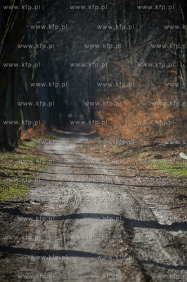 Gdansk. Oliwa, Trojmiejski Park Krajobrazowy. Sciezka...
