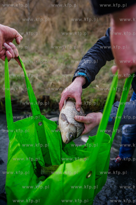 Gdansk. Pracowinicy Gdanskich melioracji oproznili...